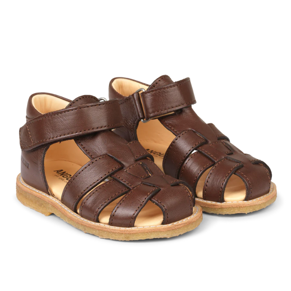 Angulus sandal brun